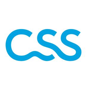 Direktlink zu CSS - Agentur Baden